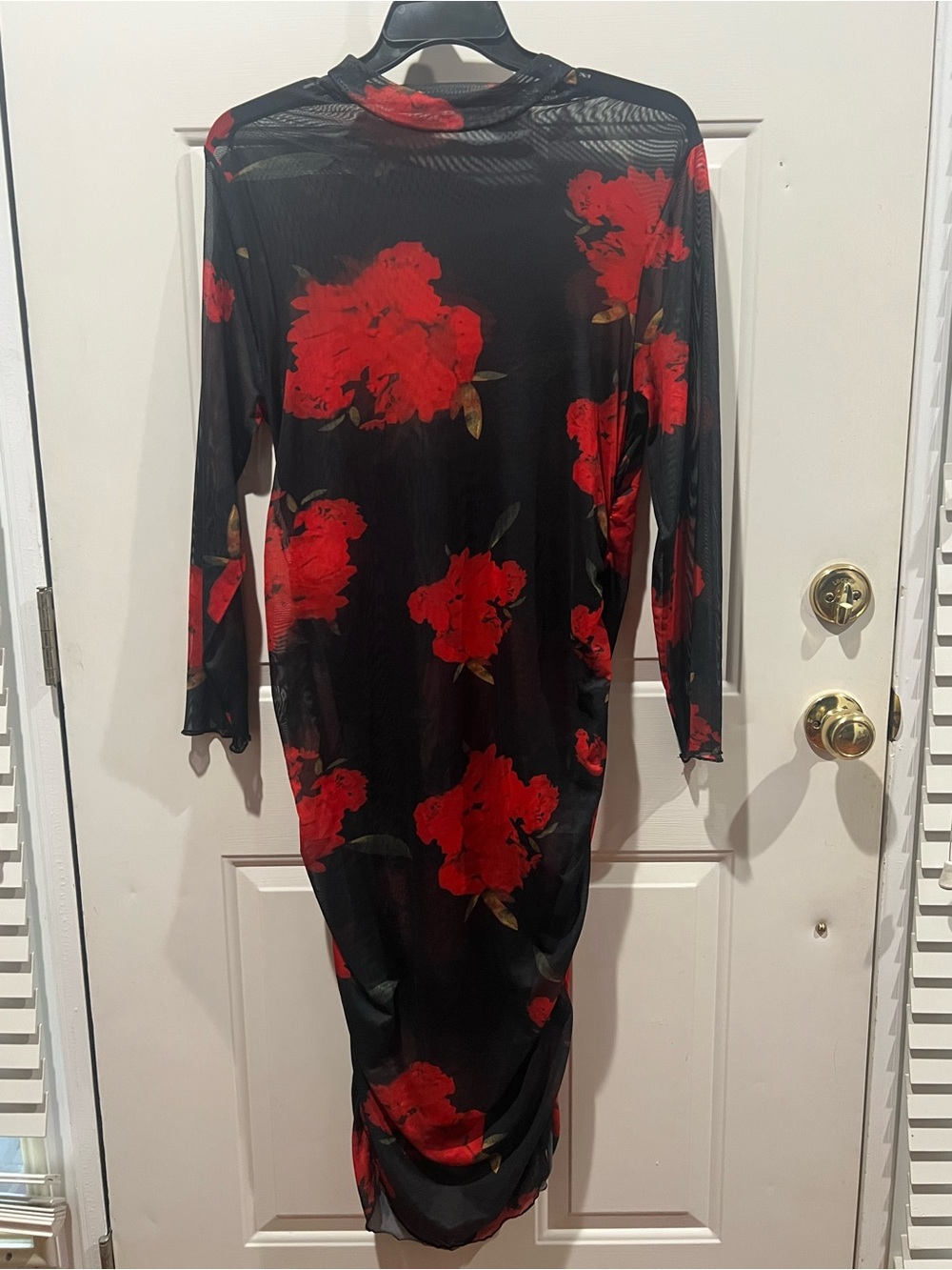 SHEIN Black Long-Sleeve Mesh Dress with Red Floral Print